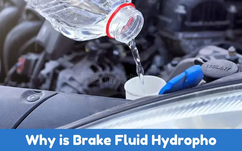 Why is Brake Fluid Hydropho